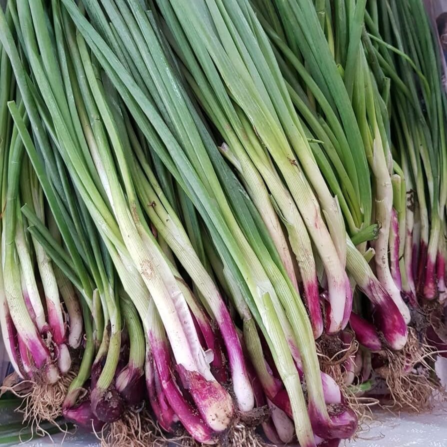escallion (per kg)