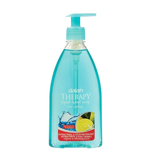 Dalan Anti-Bacterial With Odour Neutralizer Liq Hand Soap 400Ml