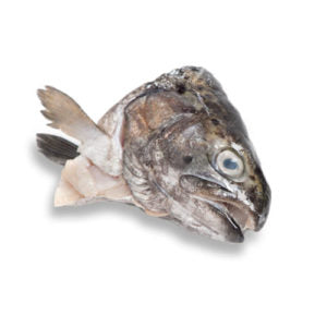 Fish Head - Trout per Kg - 2.2 Lb