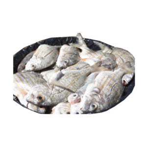 Grunt Bulk per Kg - 2.2 Lb