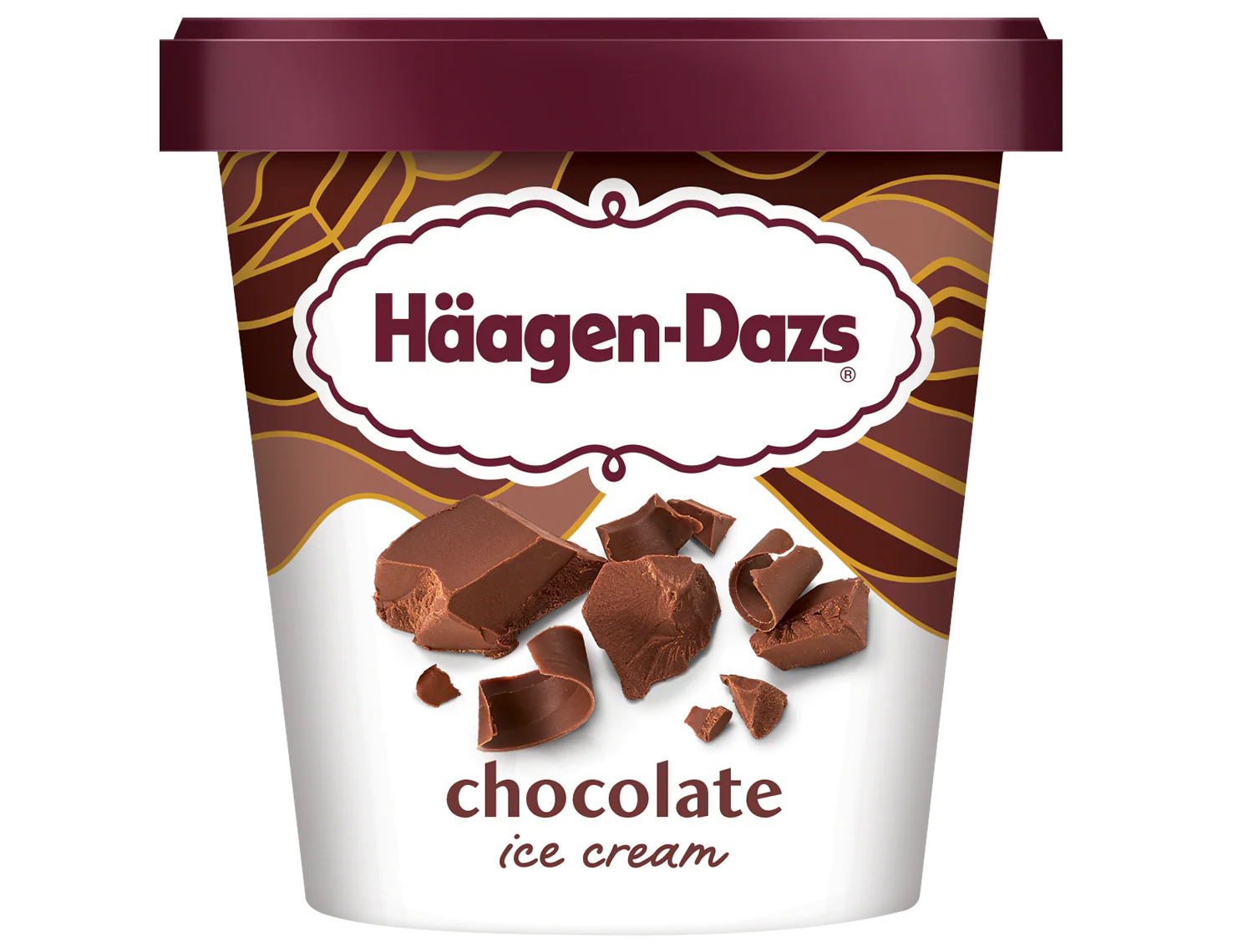 Haagen-Dazs Chocolate Ice Cream 655ml