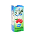 Juicy Juice Berry 200ml