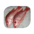 Lane/red Snapper Bulk per Kg - 2.2 Lb