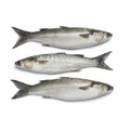 Mullet Pan Fish per Kg - 2.2 Lb