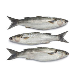 Mullet Pan Fish per Kg - 2.2 Lb