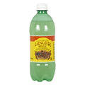 Ginger Beer 591 ML - Case