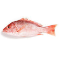 Red Snapper Fryer per Kg - 2.2 Lb