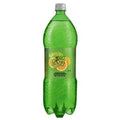 Ting 2L