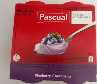 Pascual Blue Berry Yogurt 480G