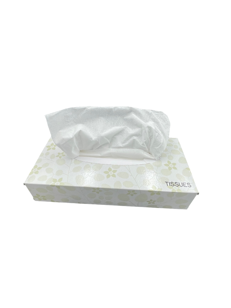 Cloud Nine Facial Tissue 100St